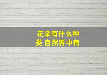 花朵有什么种类 自然界中有